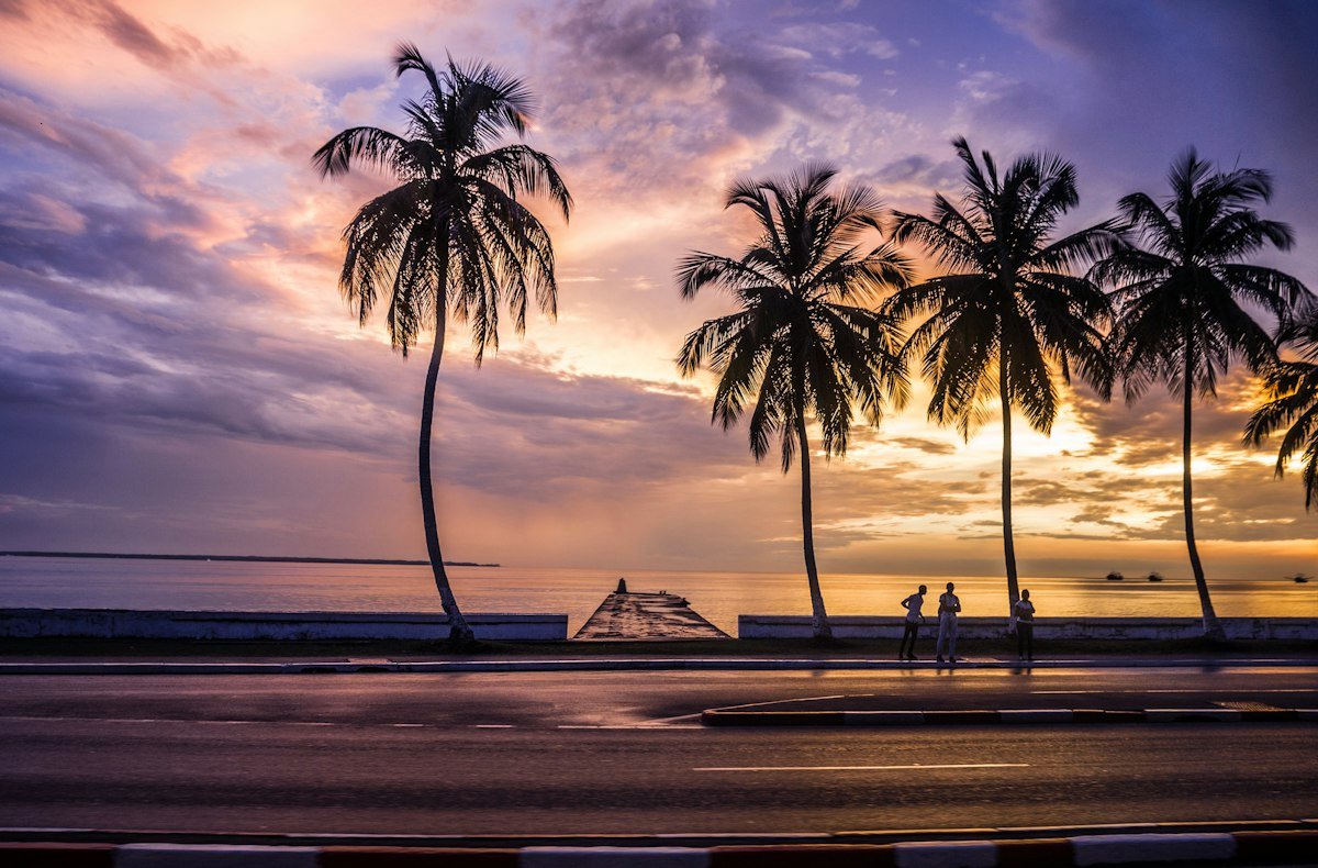 Palm trees on the shore at sunset